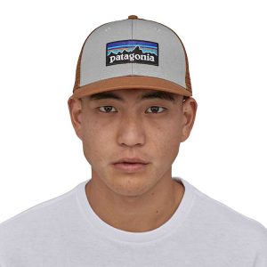 Patagonia P-6 Logo Trucker Hat